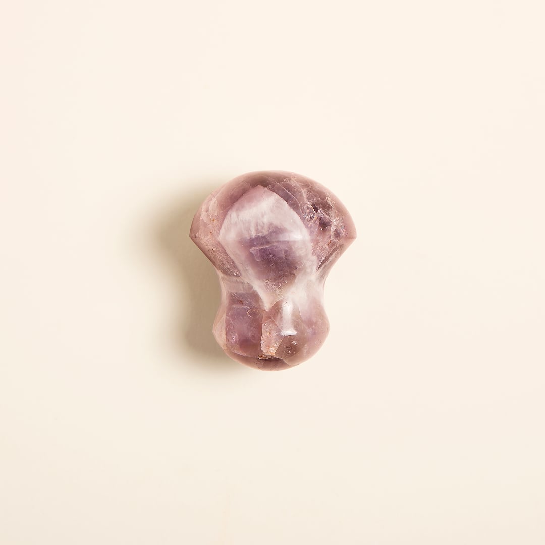 Champignon Améthyste